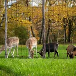 Apartman Luxe Vakantiebungalow Casa Anstelvallei *