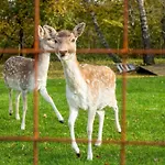 Luxe Vakantiebungalow Casa Anstelvallei *