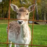 Luxe Vakantiebungalow Casa Anstelvallei