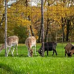 Luxe Vakantiebungalow Casa Anstelvallei