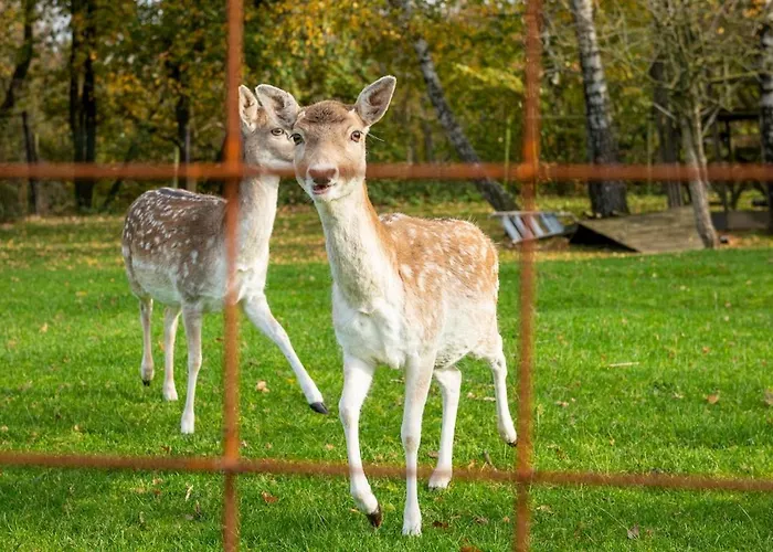 Luxe Vakantiebungalow Casa Anstelvallei *