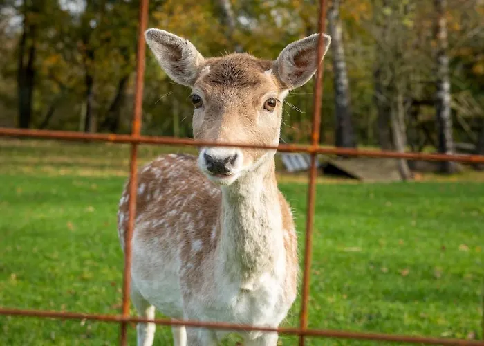 Luxe Vakantiebungalow Casa Anstelvallei